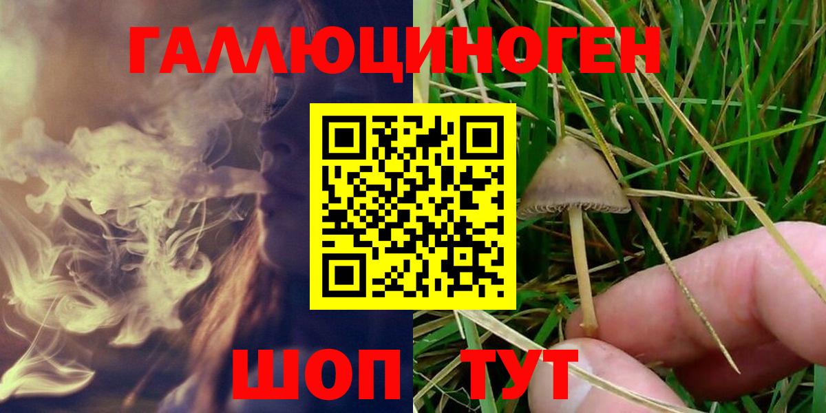 Галлюциногенные грибы прущие грибы Гурьевск