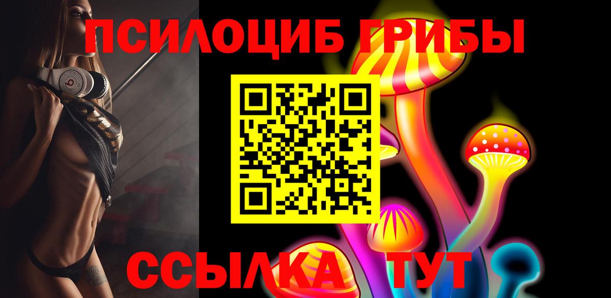 Гурьевск  Галлюциногенные грибы прущие грибы  наркошоп  Вход с VPN 