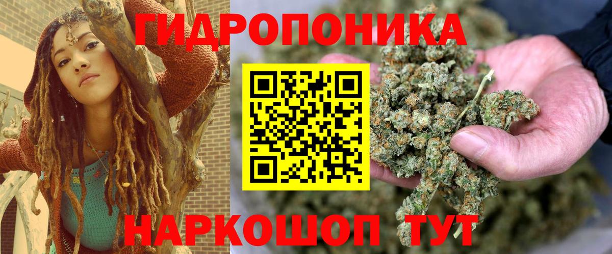 Канабис MAZAR  Каннабис MAZAR  Гурьевск  Шишки марихуана марихуана  Канабис конопля  Вход с VPN 